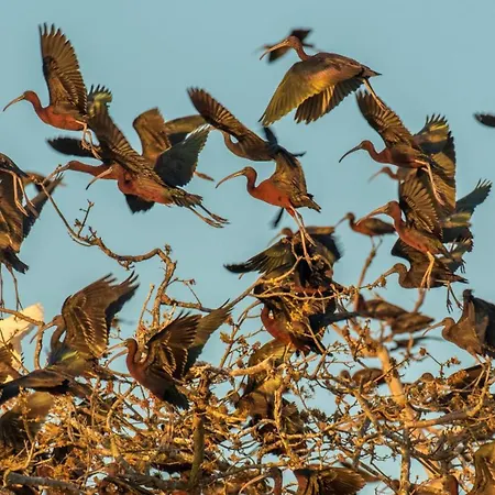 Casa Barco Valada Morgado